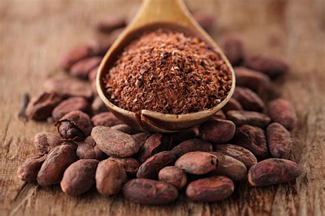 what is cocoa powder.